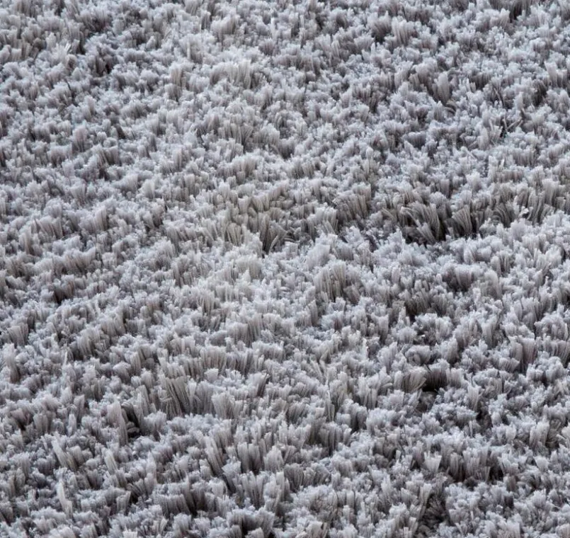 Badteppiche|Collection Noblesse Badteppich Ronda 50 x 60 cm Anthrazit