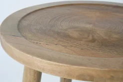 DAHEIM Couchtische-Beistelltisch Dendron Mango