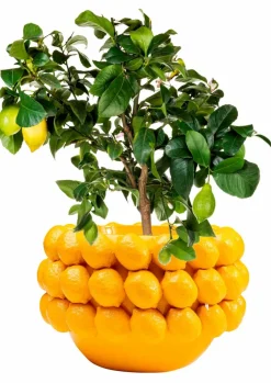 Blumentopf Lemon Juice 54727<KARE DESIGN
