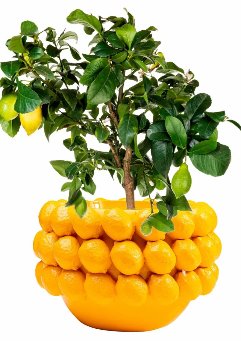 Blumentopf Lemon Juice 54727<KARE DESIGN