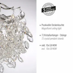 Deckenleuchten|Paul Neuhaus Deckenleuchte Ricicle Transparent