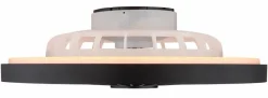 Globo Ventilatoren-Deckenventilator Blizzak Schwarz