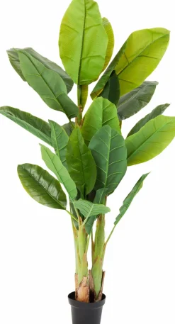 Grünpflanzen|Dekofiguren Tiere & Pflanzen|KARE DESIGN Deko Pflanze 64003 Banana Tree Grün