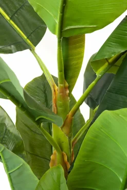 Grünpflanzen|Dekofiguren Tiere & Pflanzen|KARE DESIGN Deko Pflanze 64003 Banana Tree Grün