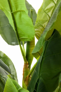 Grünpflanzen|Dekofiguren Tiere & Pflanzen|KARE DESIGN Deko Pflanze 64003 Banana Tree Grün