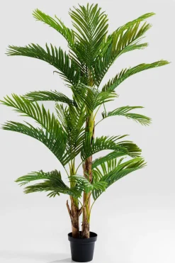 Grünpflanzen|Dekofiguren Tiere & Pflanzen|KARE DESIGN Deko Pflanze 51789 Palm Tree Grün