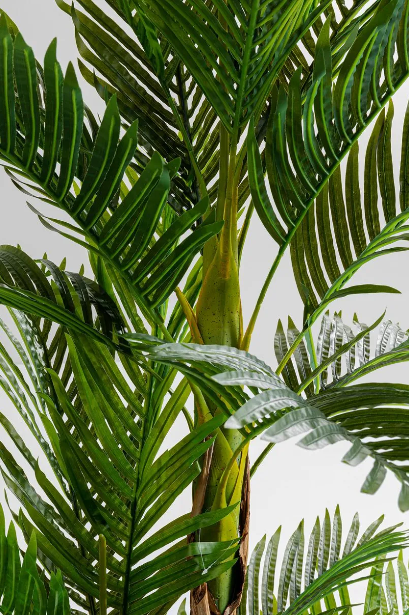 Grünpflanzen|Dekofiguren Tiere & Pflanzen|KARE DESIGN Deko Pflanze 51789 Palm Tree Grün