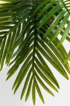 Grünpflanzen|Dekofiguren Tiere & Pflanzen|KARE DESIGN Deko Pflanze 51789 Palm Tree Grün