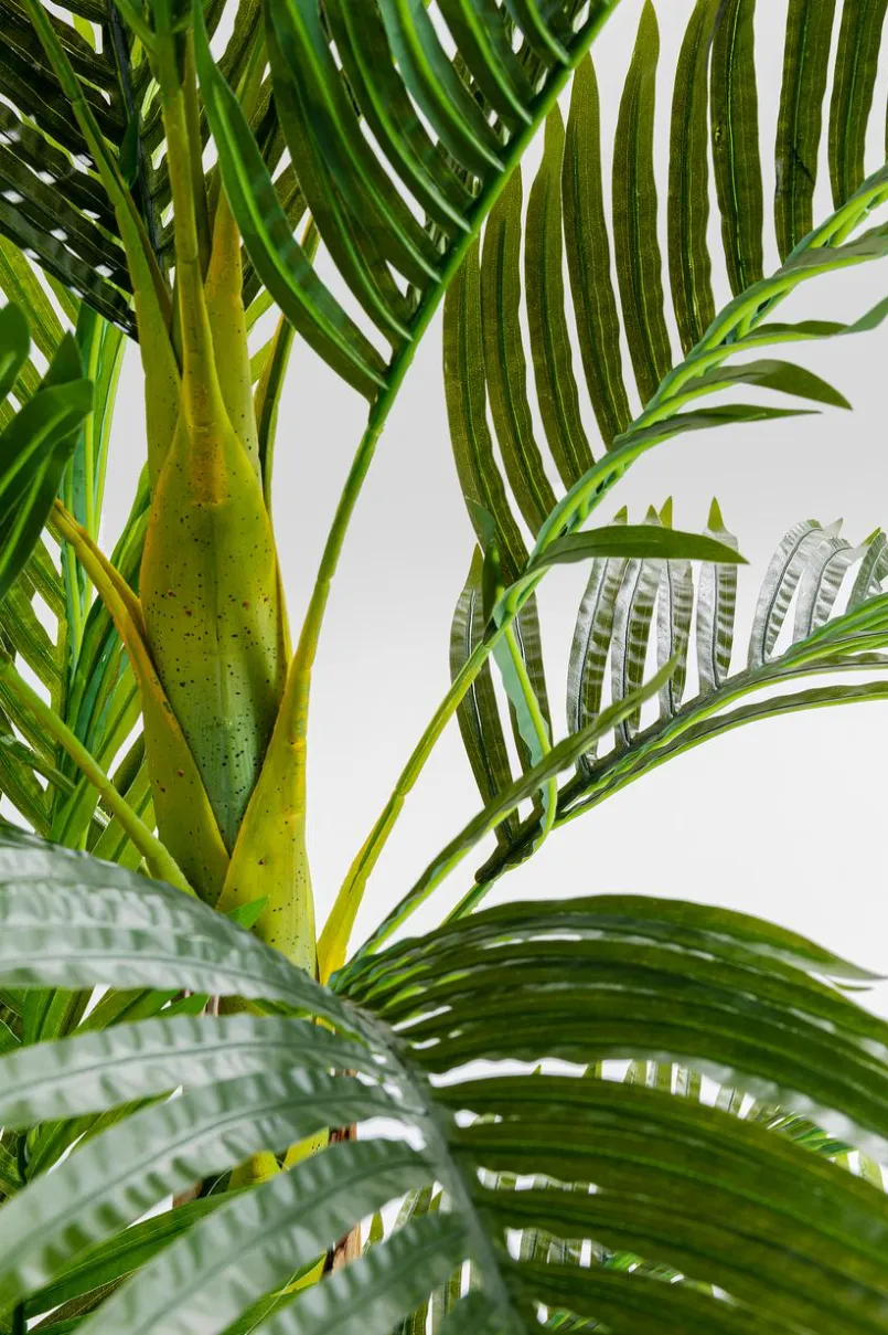 Grünpflanzen|Dekofiguren Tiere & Pflanzen|KARE DESIGN Deko Pflanze 51789 Palm Tree Grün