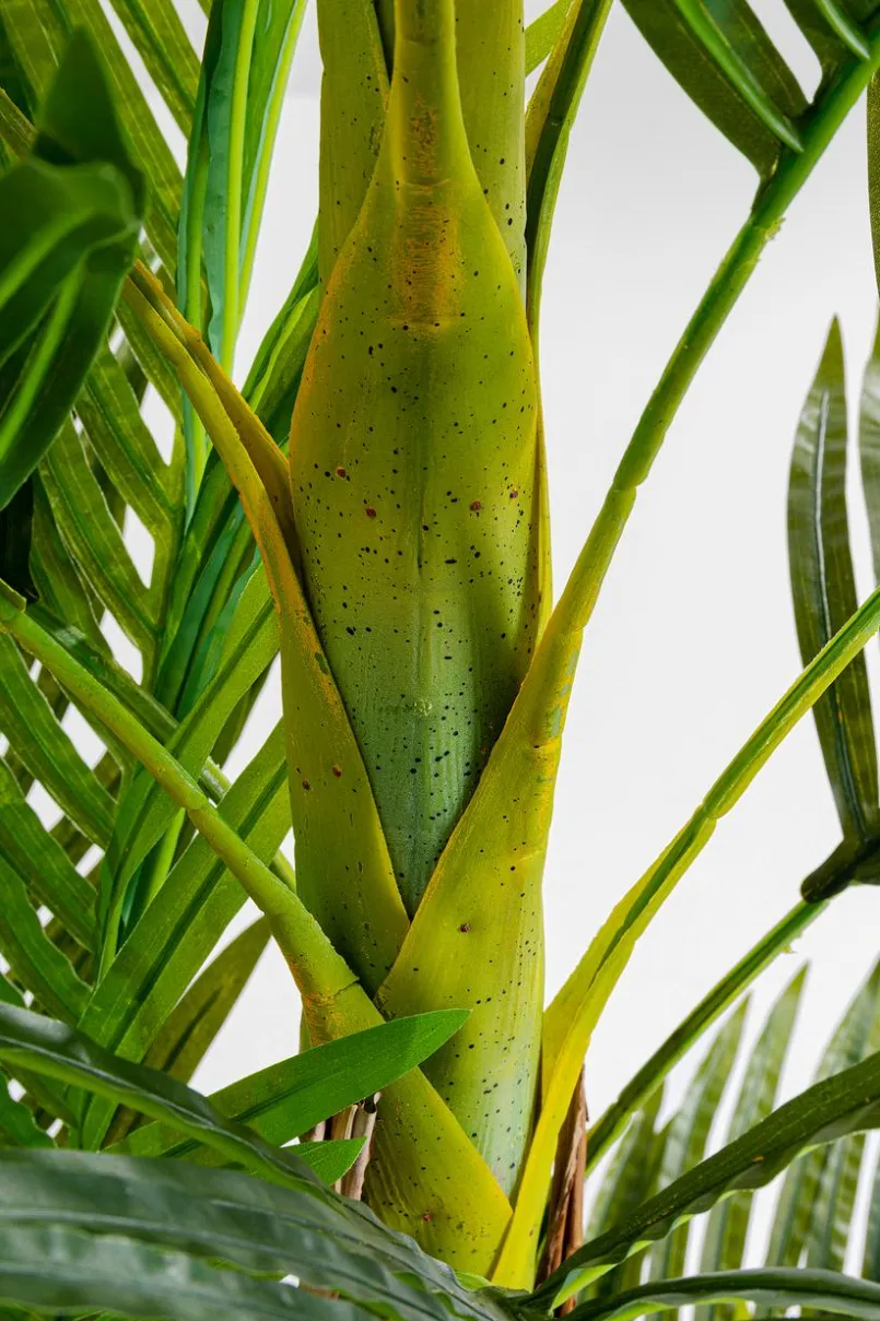 Grünpflanzen|Dekofiguren Tiere & Pflanzen|KARE DESIGN Deko Pflanze 51789 Palm Tree Grün