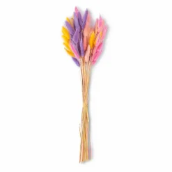 Grünpflanzen| Deko-Strauß Samtgras 50 cm Pink