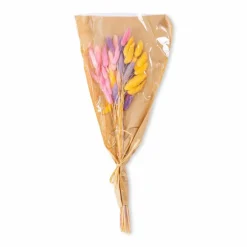 Grünpflanzen| Deko-Strauß Samtgras 50 cm Pink