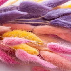 Grünpflanzen| Deko-Strauß Samtgras 50 cm Pink