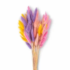 Grünpflanzen| Deko-Strauß Samtgras 50 cm Pink