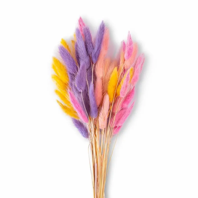 Grünpflanzen| Deko-Strauß Samtgras 50 cm Pink