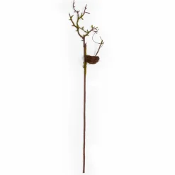 Deko-Zweig 75 cm< Hot