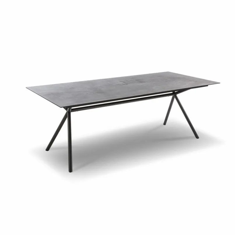 Esstische|bert plantagie Esstisch Aiven 220 x 99,6 cm Grau