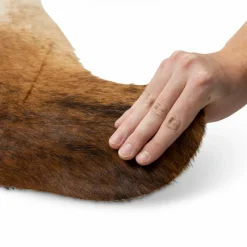 Felle & Fellteppiche| Fellteppich 150 x 230 cm Braun