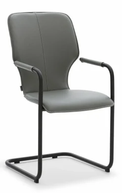 Musterring Stühle-Freischwinger Nevio V1454 Grau