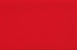 Fußmatte Scarlet 50 x 75 cm<Wash & Dry Outlet