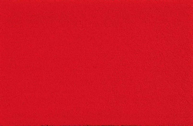Fußmatte Scarlet 50 x 75 cm<Wash & Dry Outlet