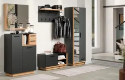 Garderobenspiegel|Wandspiegel|trendteam Garderobenspiegel Synnax Transparent