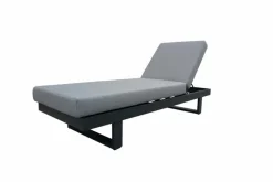 Loungeliegen|Gartenliegen| Gartenliegen Set Flin 2 tlg. Grau