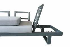 Loungeliegen|Gartenliegen| Gartenliegen Set Flin 2 tlg. Grau
