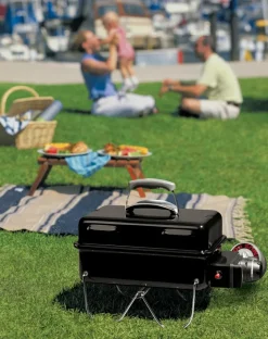 Gasgrill Go-Anywhere Gas<Weber Sale