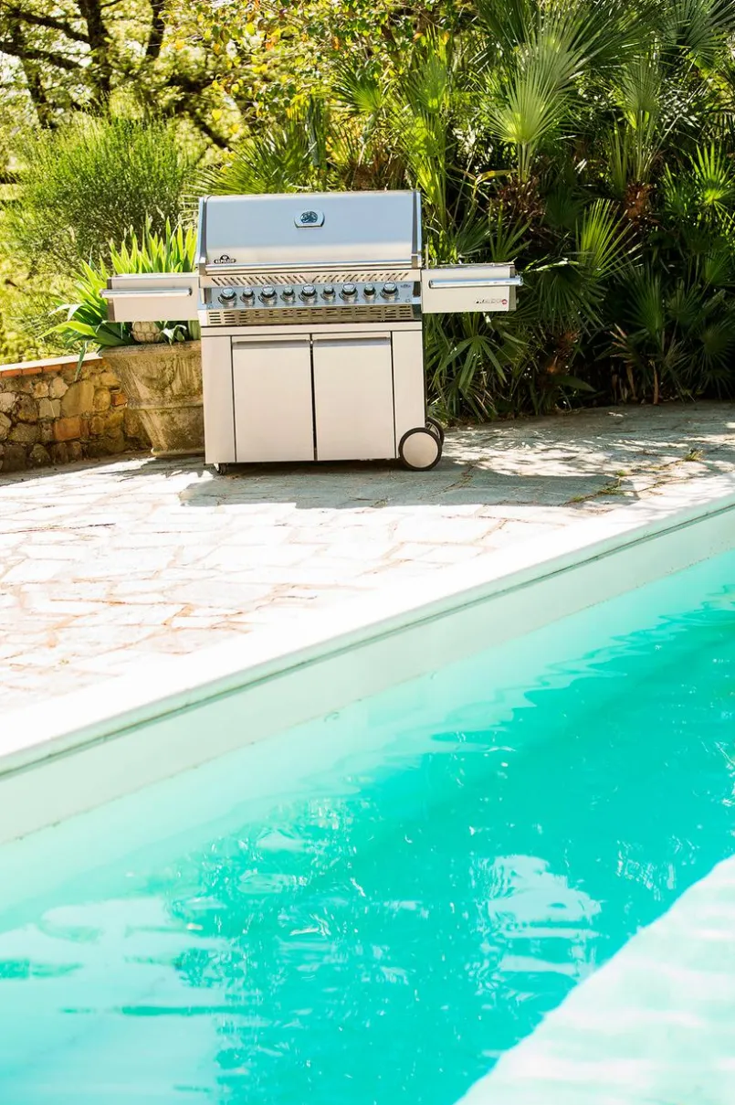 Napoleon Napoleon Grills & Grillzubehör-Gasgrill Prestige Pro™ 665 Silber