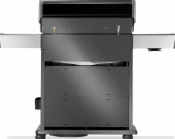 Napoleon Grills & Grillzubehör|Gasgrills|Napoleon Gasgrill Rogue® PRO-S 525 Schwarz