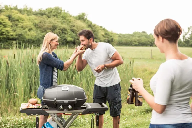 Napoleon Grills & Grillzubehör|Napoleon Gasgrill TravelQ™ m. klappbaren Wagen Schwarz