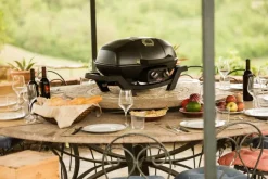 Gasgrill TRAVELQ™ PRO285<Napoleon