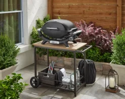 Weber Weber Grills & Grillzubehör|Gasgrills-Gasgrill -Q Schwarz