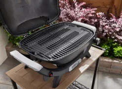Weber Weber Grills & Grillzubehör|Gasgrills-Gasgrill -Q Schwarz