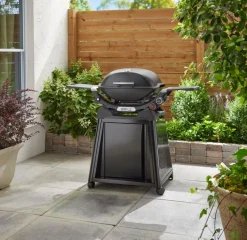 Weber Grills & Grillzubehör|Gasgrills|Weber Gasgrill -Q Schwarz