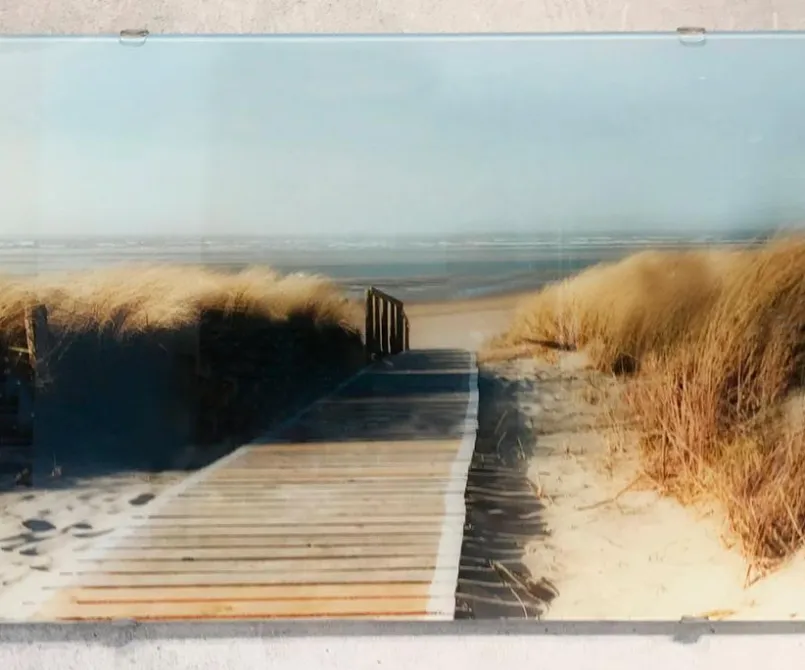 Bilder Ohne Rahmen|Bilder Nach Themen|EUROART Glasbild 98 x 33 cm Green Moments II Grün