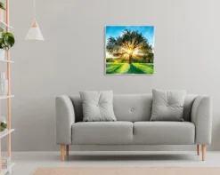 Bilder Ohne Rahmen|Bilder Nach Themen|EUROART Glasbild 50 x 50 cm Green trees IX Grün