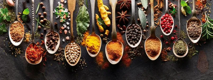 Glasbild 30 x 80 cm Herbs and spices<EUROART Outlet