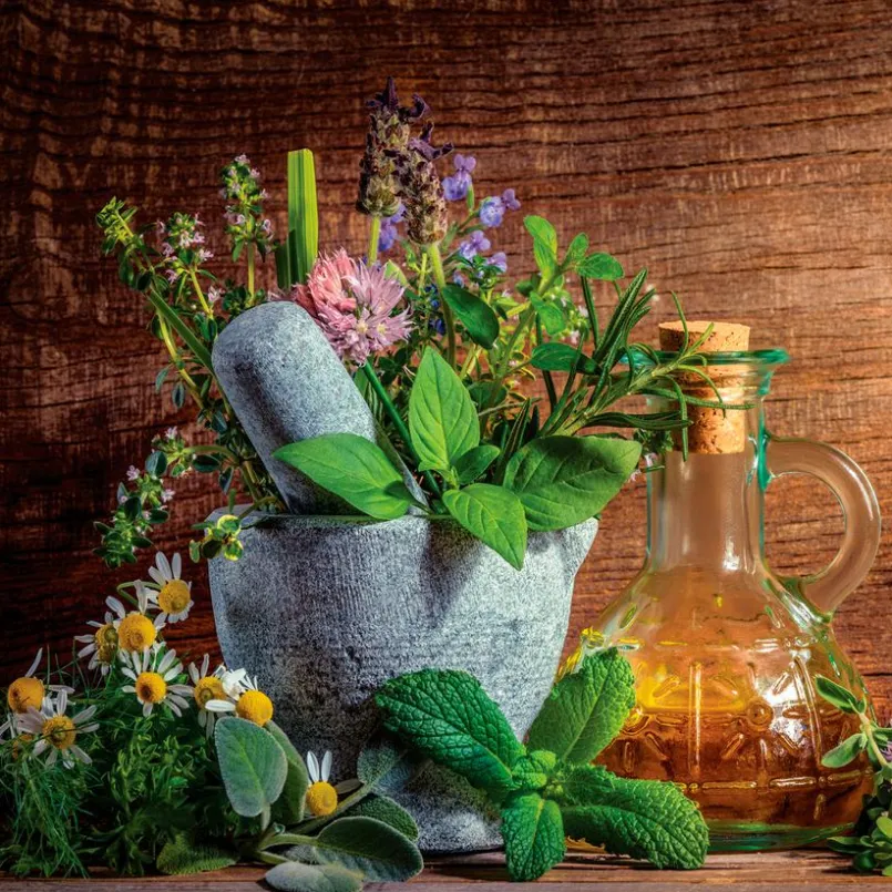 EUROART Bilder Ohne Rahmen|Bilder Nach Themen-Glasbild 50 x 50 cm Herbs and spices XV Braun