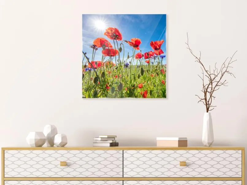 Bilder Ohne Rahmen|EUROART Glasbild 50 x 50 cm Poppies IV Rot