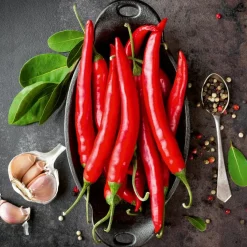 EUROART Bilder Ohne Rahmen-Glasbild 20 x 20 cm Red Chili Peppers I Rot