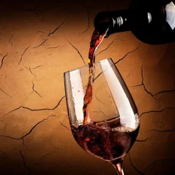 Bilder Ohne Rahmen|Bilder Nach Themen|EUROART Glasbild 30 x 30 cm Red wine IV Braun
