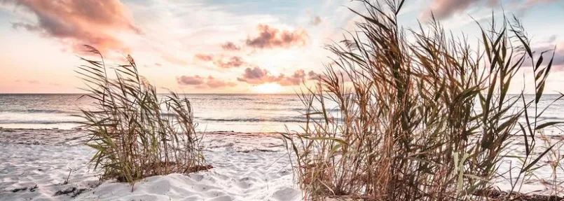 Bilder Ohne Rahmen|EUROART Glasbild 33 x 98 cm Soft Sea V Beige