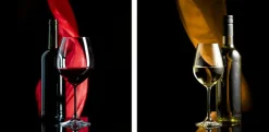 Bilder Ohne Rahmen|EUROART Glasbild 20 x 40 cm Wine I 2tlg. Bunt