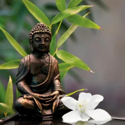 EUROART Bilder Ohne Rahmen|Bilder Nach Themen-Glasbild 30 x 30 cm Zen bamboo I Grün