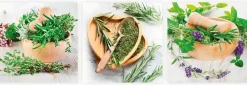 Glasbild 3tlg. Fresh Herbs<EUROART