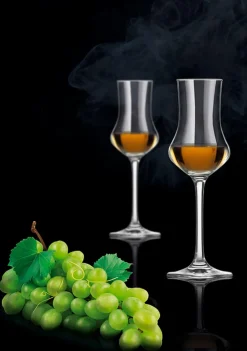 Gläser|SCHOTT ZWIESEL Gläserset - Digestif Classico 6tlg. Klar