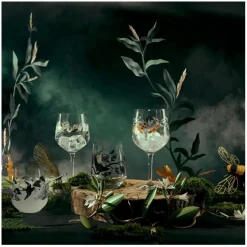 Ritzenhoff Gläser-Gläserset - Gin Botanic Glamour 2tlg. Bunt
