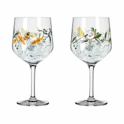 Ritzenhoff Gläser-Gläserset - Gin Botanic Glamour 2tlg. Bunt